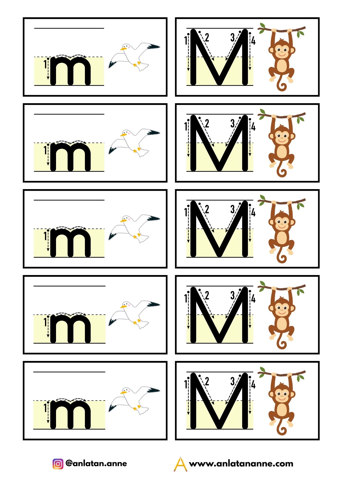 1. sınıf m harfi interaktif defter çalışması