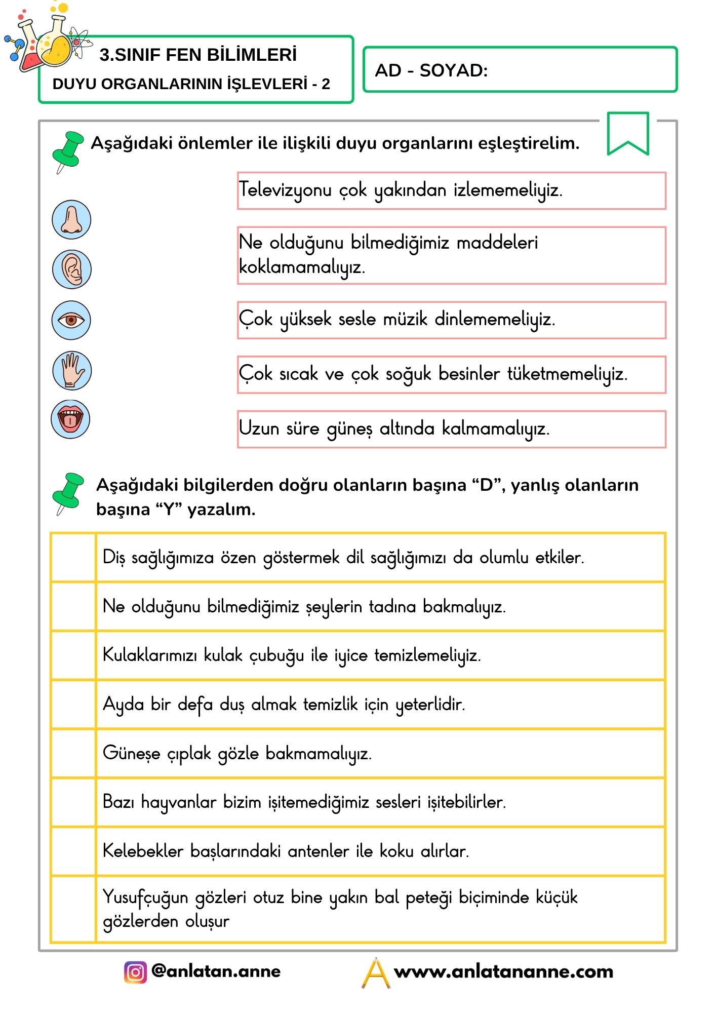 3. sınıf duyu organlarının işlevleri
