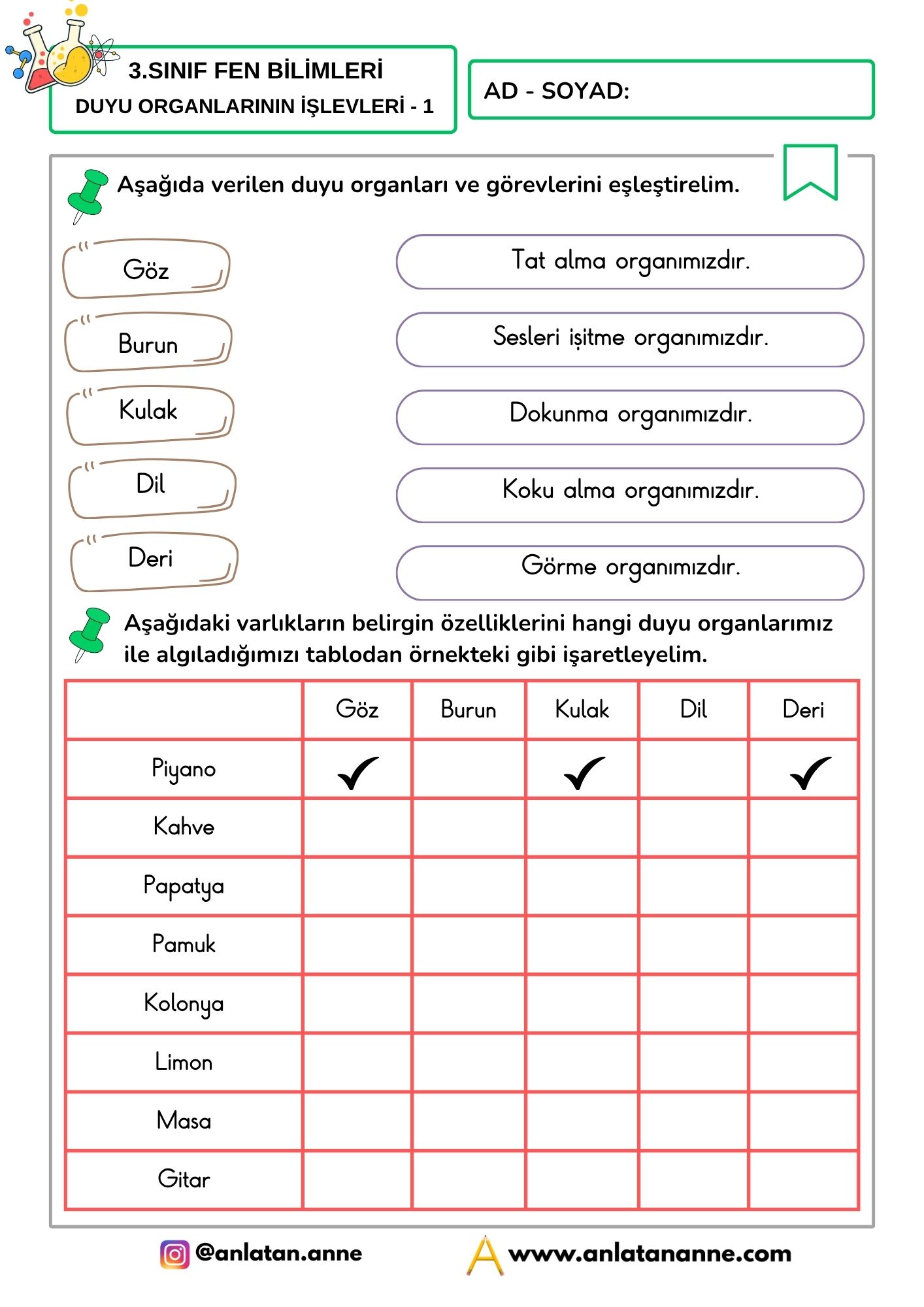 3. sınıf duyu organlarının işlevleri