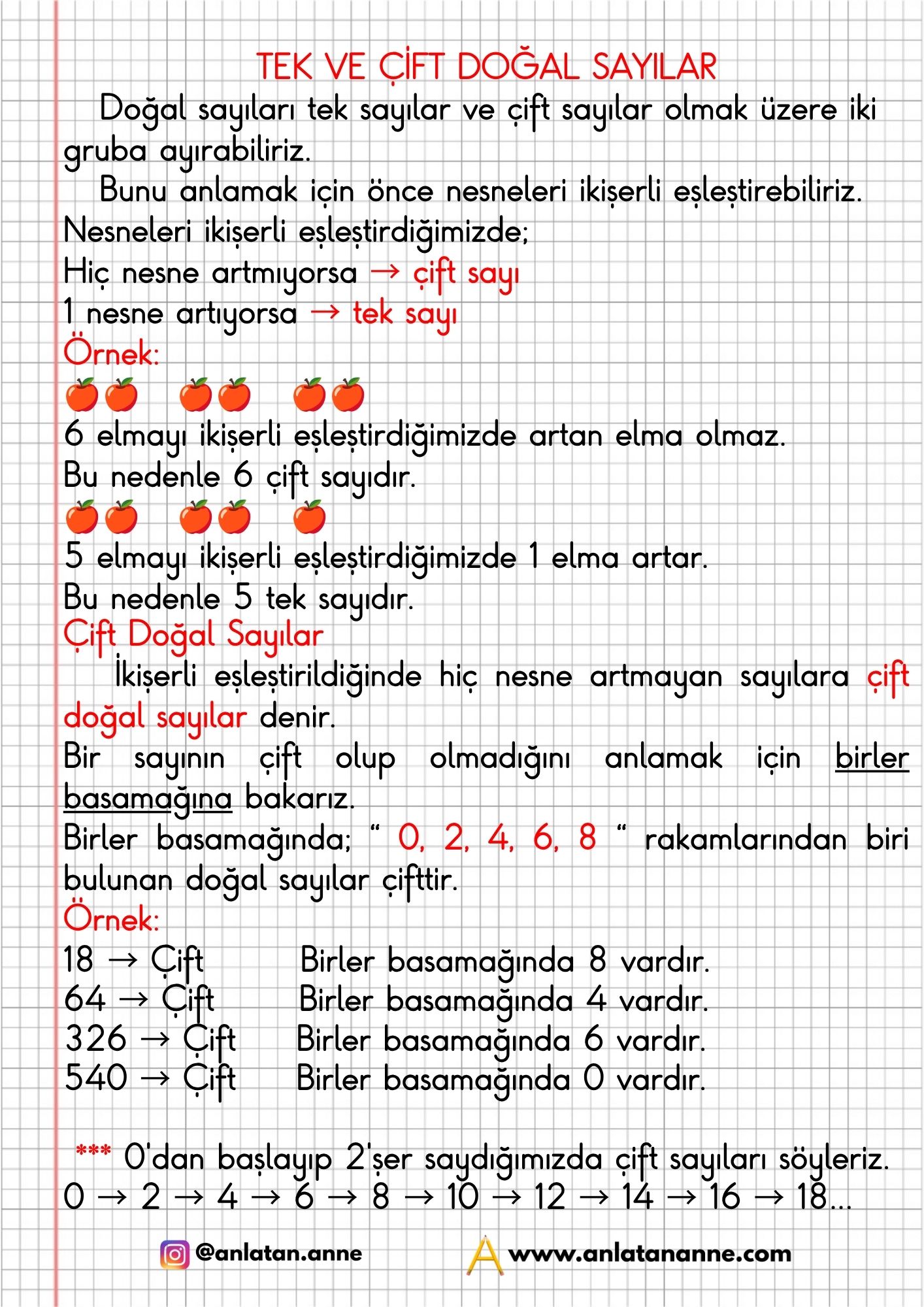 3. sınıf tek ve çift doğal sayılar defter notu