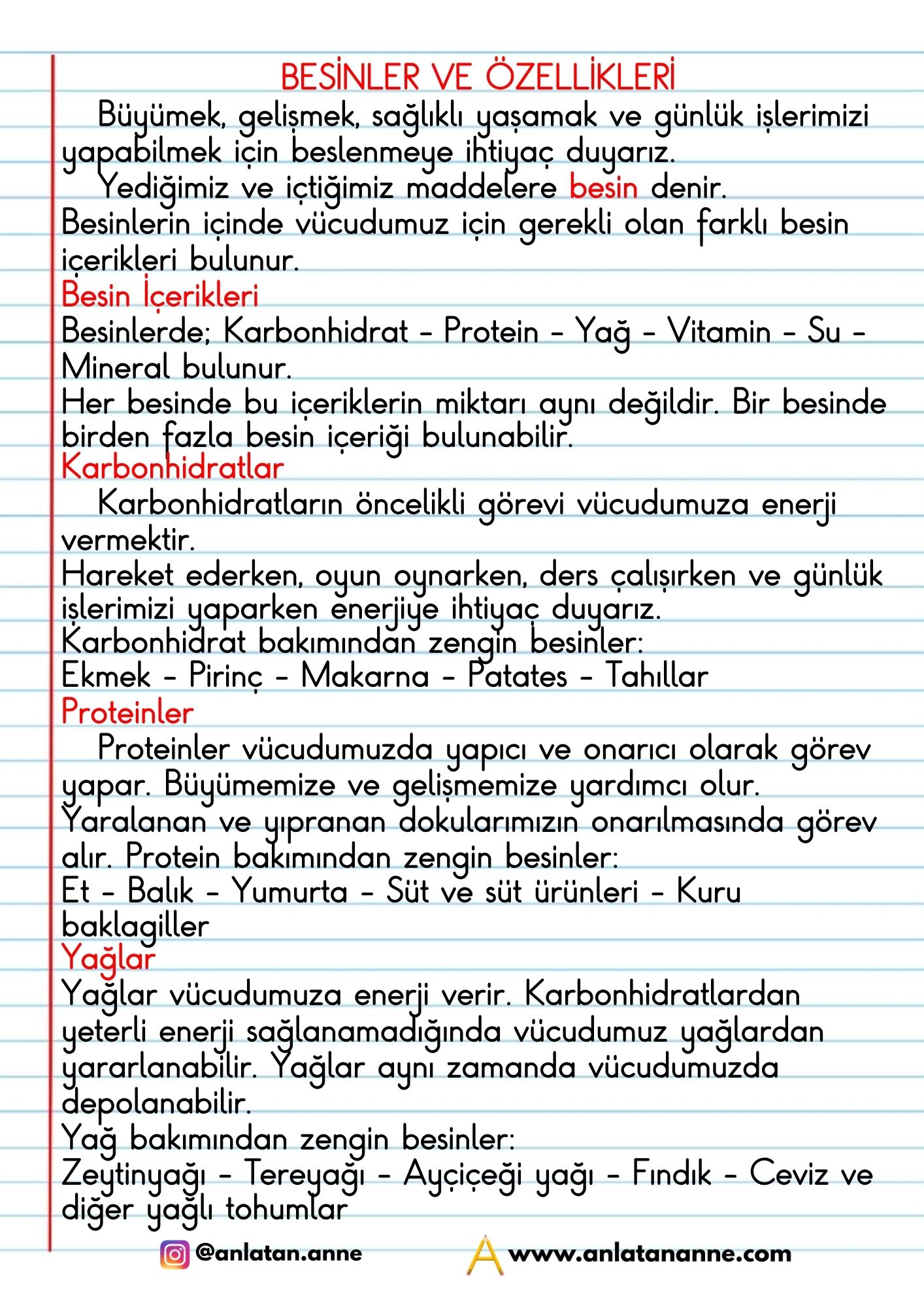 4. sınıf besinler ve özellikleri defter notu
