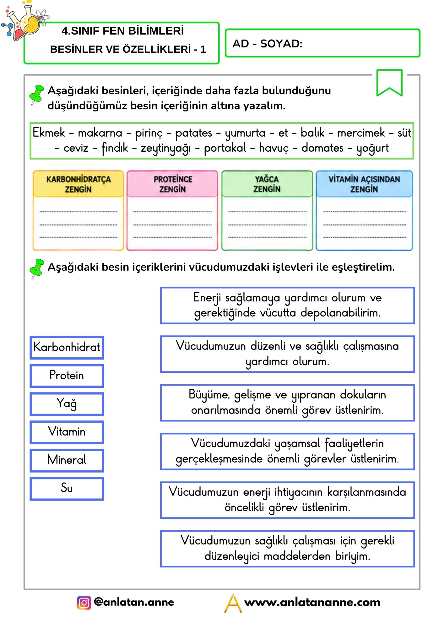 4. sınıf besinler ve özellikleri