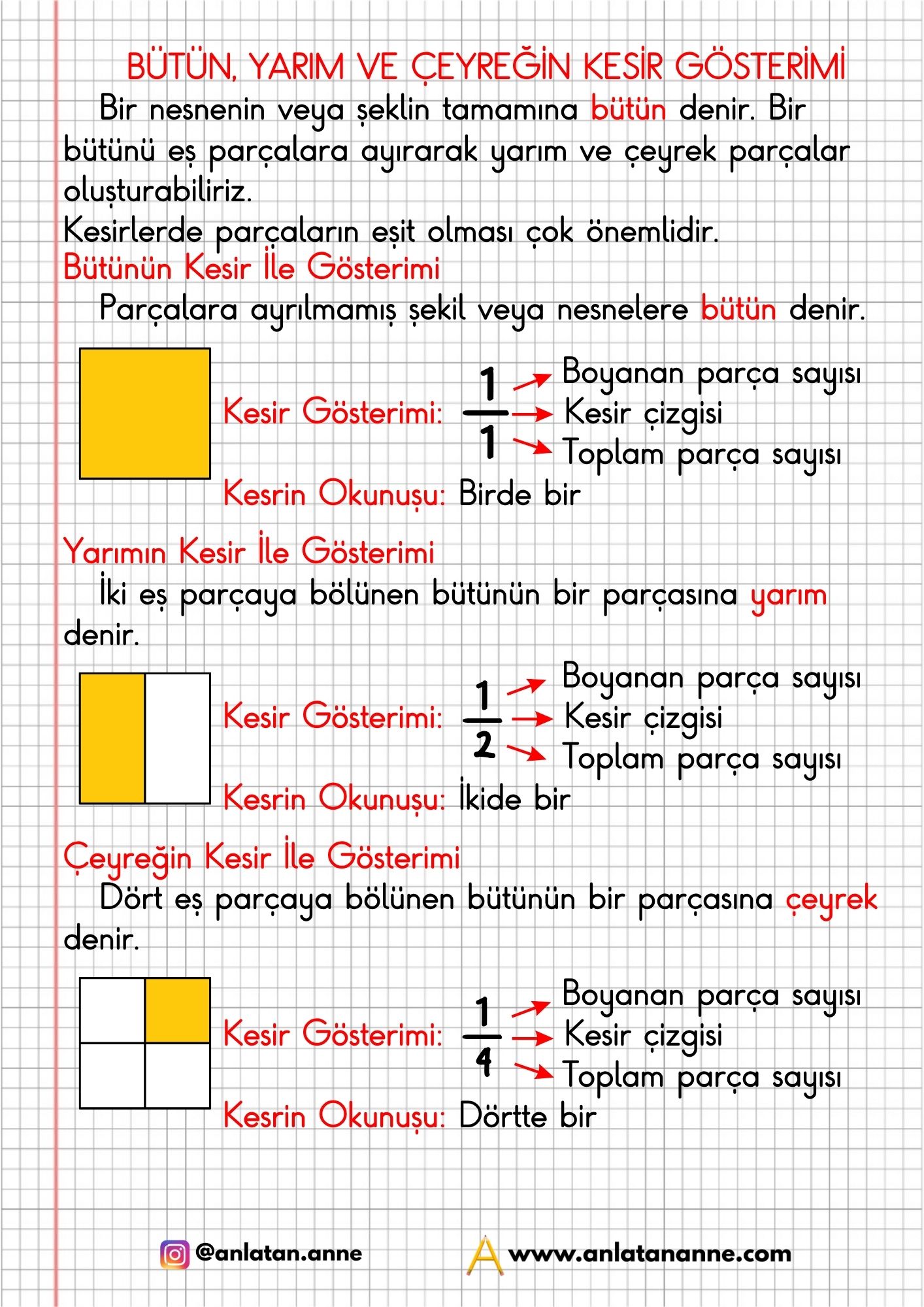 3. sınıf bütün, yarım ve çeyreğin kesir gösterimi defter notu